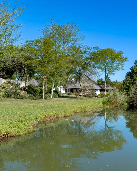 Twinstreams Collective