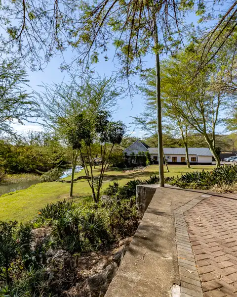 Twinstreams Collective