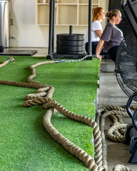 Core 360 | Twinstreams Collective