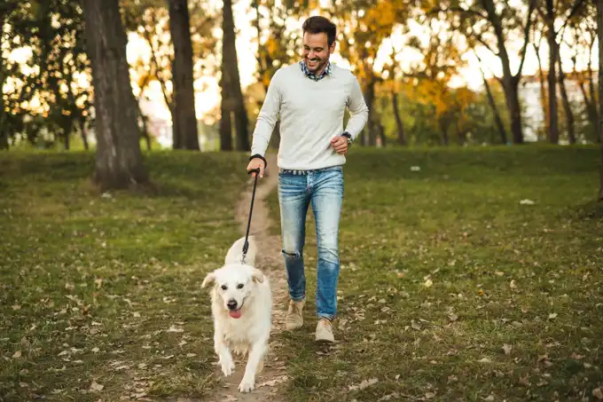 Pet Friendly | Twinstreams Collective